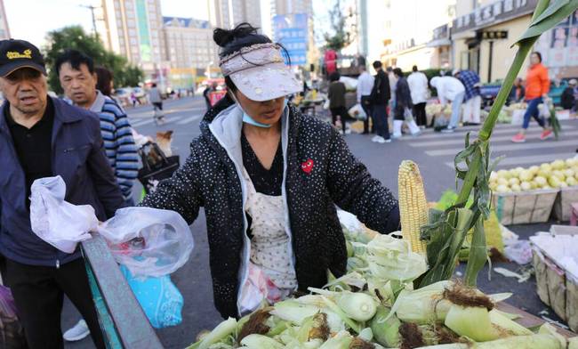 三伏天我們“熱成狗”，而黑龍江卻穿著棉襖出行。啥情況？