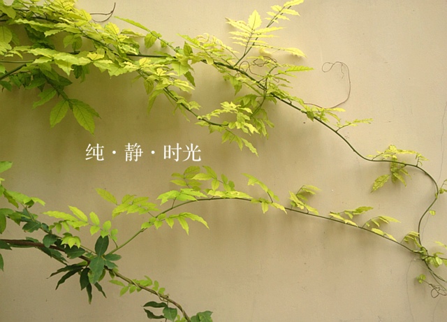 周末時(shí)光到來，好好去放松吧！