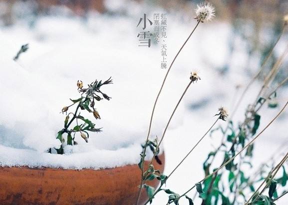 今天是小雪，將正式步入冬天嚴(yán)寒階段。