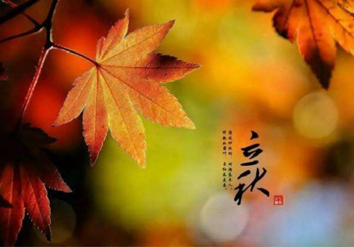 立秋已到，僑洋實(shí)業(yè)小編提醒你酷暑即將結(jié)束咯！
