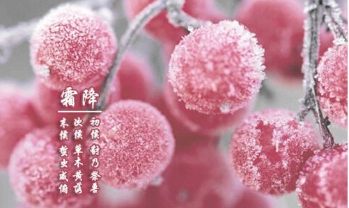 霜降已到，冬天還會(huì)遠(yuǎn)嗎？